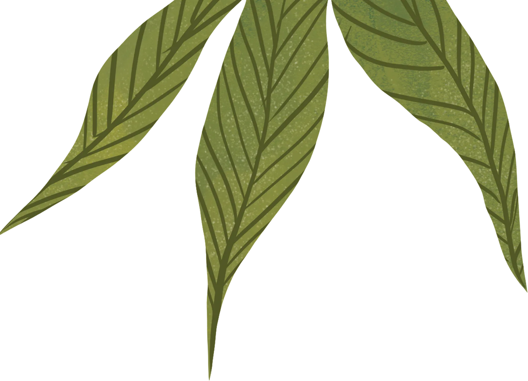 Layer 33
