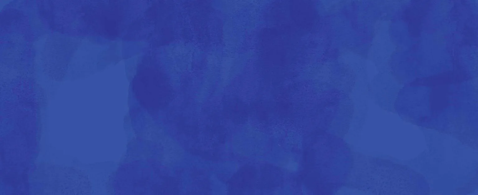 Layer 48