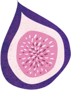 fig2