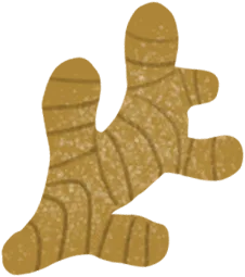 ginger