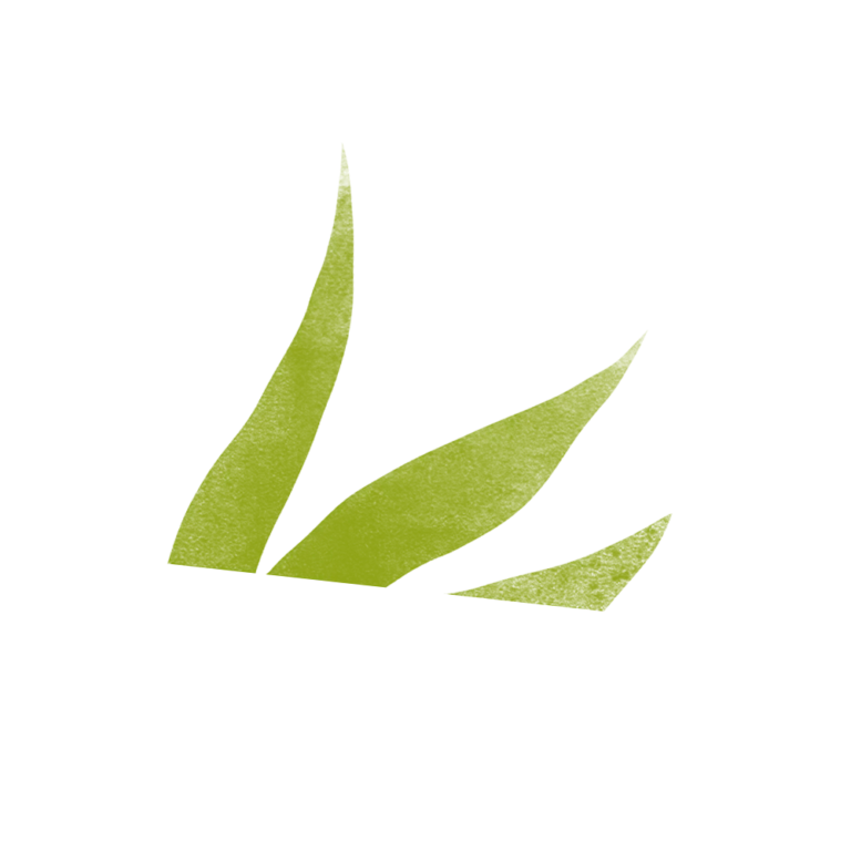 green leaf