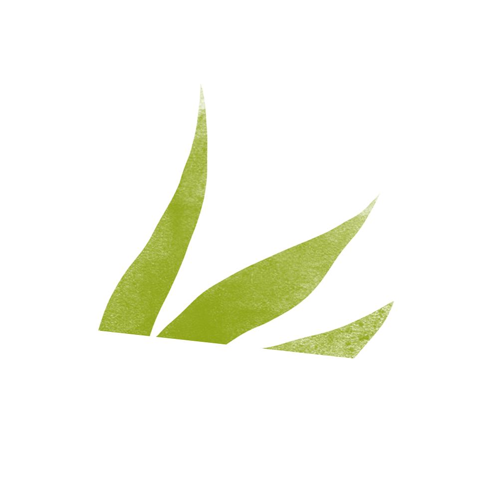 green leaf